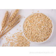 High Quality Oats Peptide Powder good quality Oats peptide powder Supplier